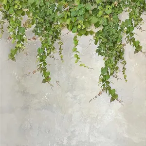 Skleněný panel 60/60 Cement Ivy-2 Esg