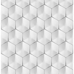 Skleněný panel 60/60 Polar Hex Esg